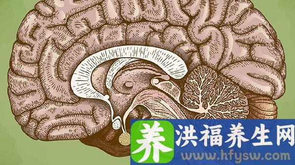 脑栓塞是什么原因造成的