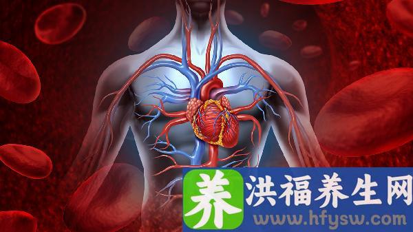 老年人吃什么对心血管好