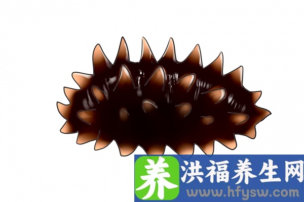 海参的功效与作用、禁忌和食用方法