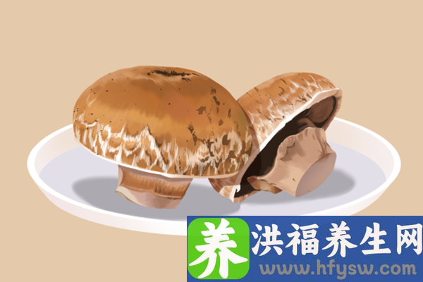 蘑菇的功效与作用、禁忌和食用方法