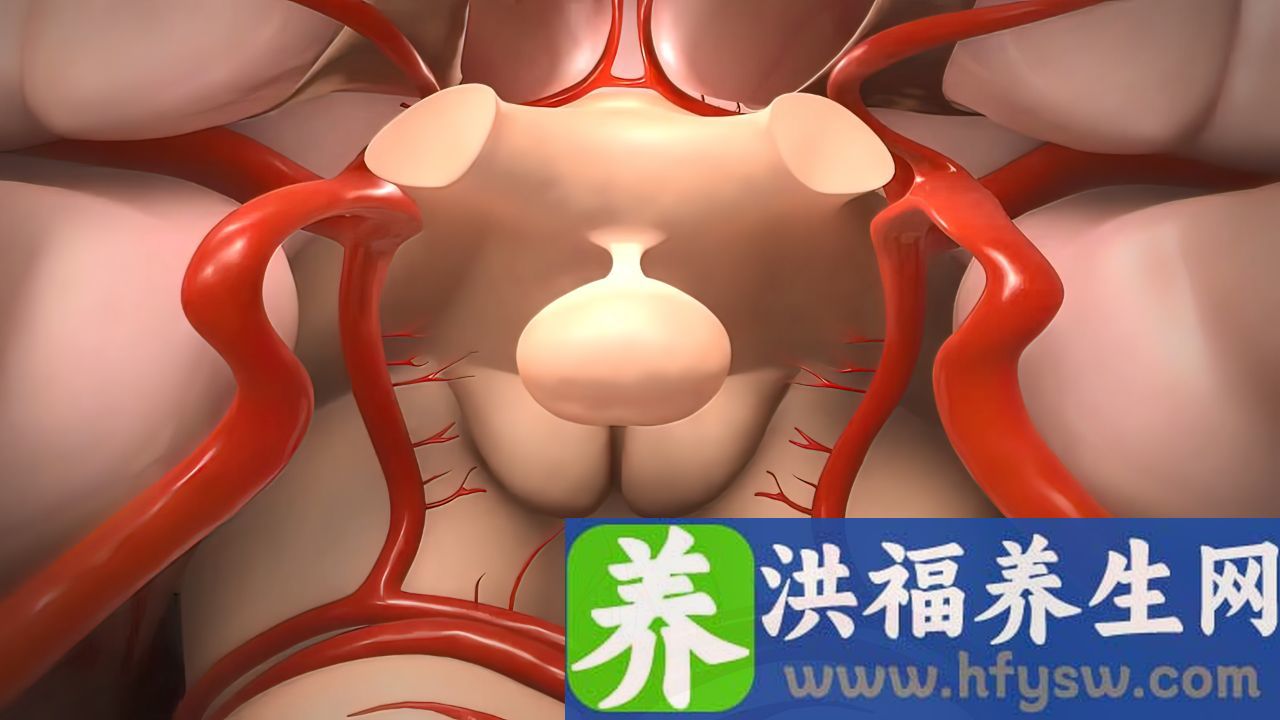 下肢血液循环不良症状有哪些