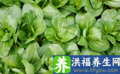 春天养生吃什么蔬菜 推荐9种时令蔬菜