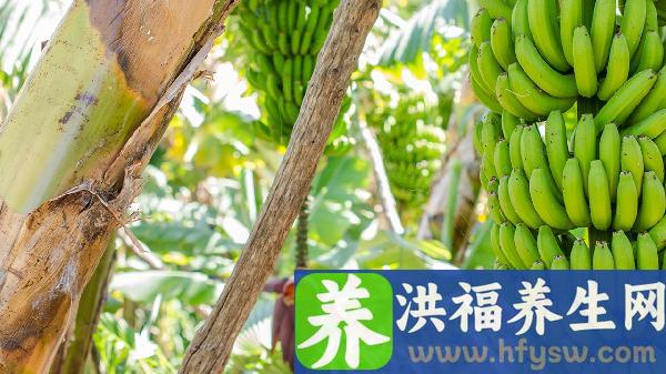 尿酸高吃什么食物比较好