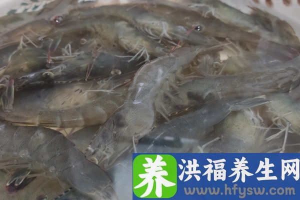 基围虾是海鲜吗