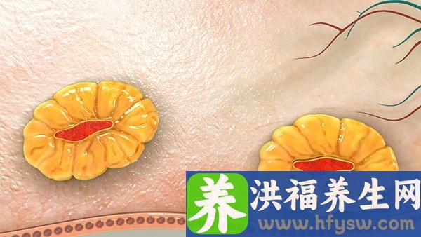 卵泡发育不良要怎么办