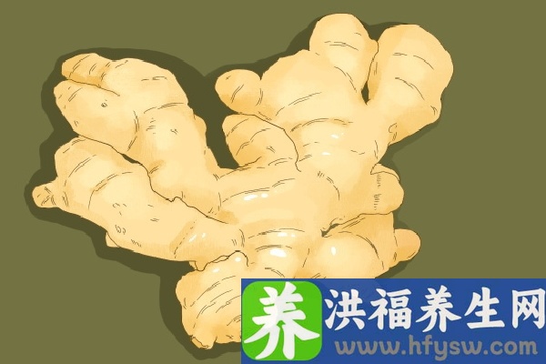 洋姜的功效与作用、禁忌和食用方法