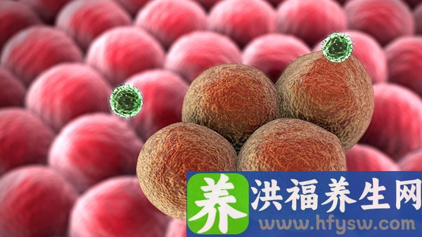 尖锐湿疣是痒一次长大一点吗
