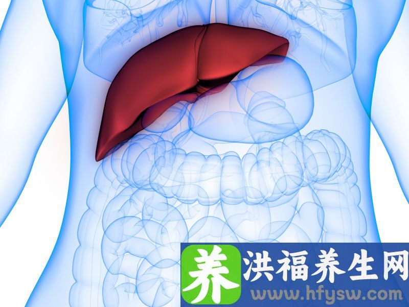 【全国爱肝日】长期熬夜让肝很受伤，养肝应从健康生活开始