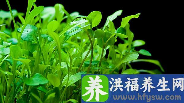 降血压的蔬菜有哪几种蔬菜