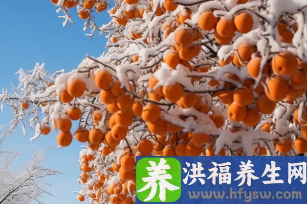 吃了柿子能吃羊肉吗