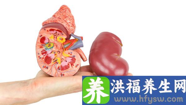 右肾囊肿可以自己消失吗