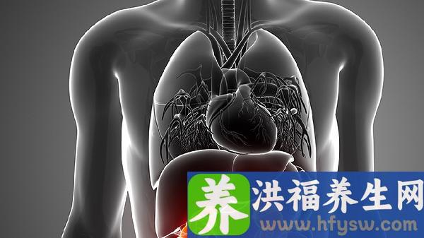 春天喝什么茶养肝润肺又去火养胃呢