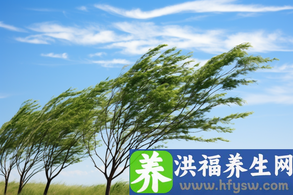 容易引起老年痴呆的因素