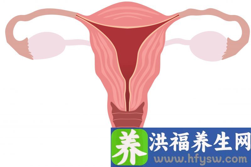 卵巢老一岁，女人老十岁？呵护卵巢，做好这几点