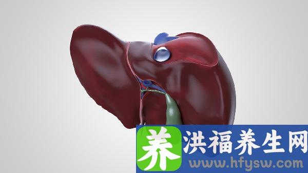 春天多吃什么可以养肝脏健康
