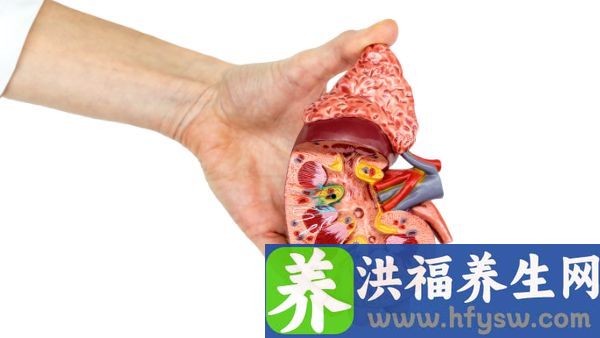 氯偏高怎么了