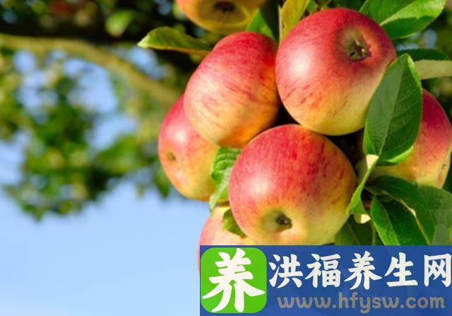 秋季，这些水果蔬菜最养人！