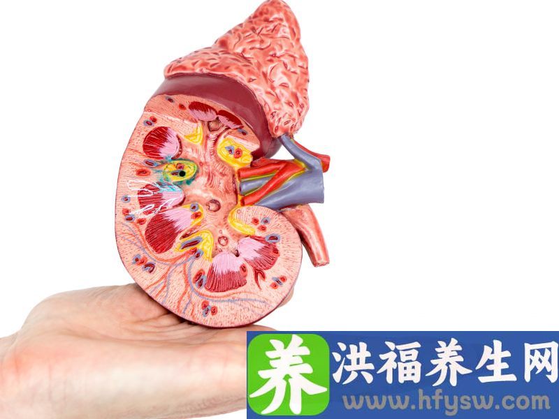 尿毒症已有年轻化趋势，生活中有这4个习惯赶紧改正，当心它盯上你