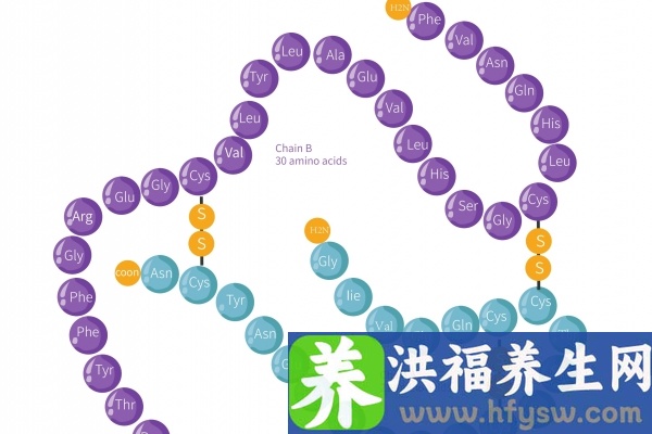 洋姜和胰岛果是一种东西吗