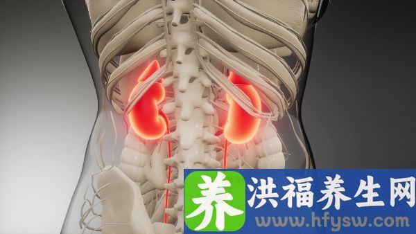 肾小管多久能自己修复