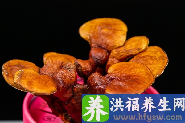 灵芝孢子粉的功效与作用、禁忌和食用方法