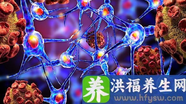 B淋巴细胞是什么