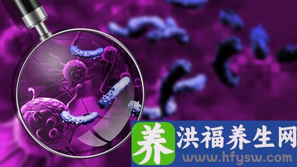 这个是尖锐湿疣吗还是珍珠疹