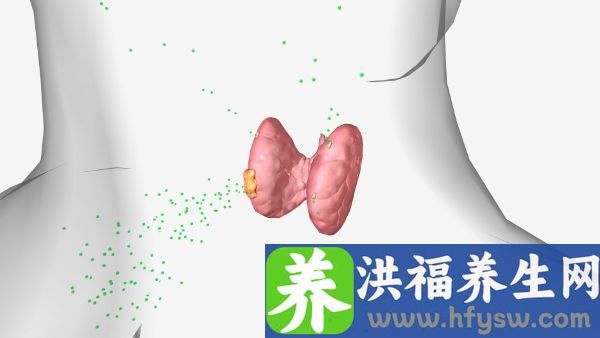 甲状腺能吃豆制品吗