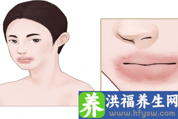 甲鱼血的功效与作用、禁忌和食用方法