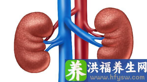 肾结石b超能查出来吗