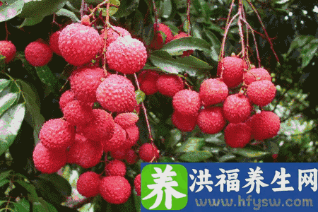 6月第一果！补气安神、滋心养肝，但你真的会吃吗
