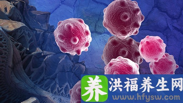 服用双环醇片多久为一疗程 金酸萍片是抗病毒的药吗