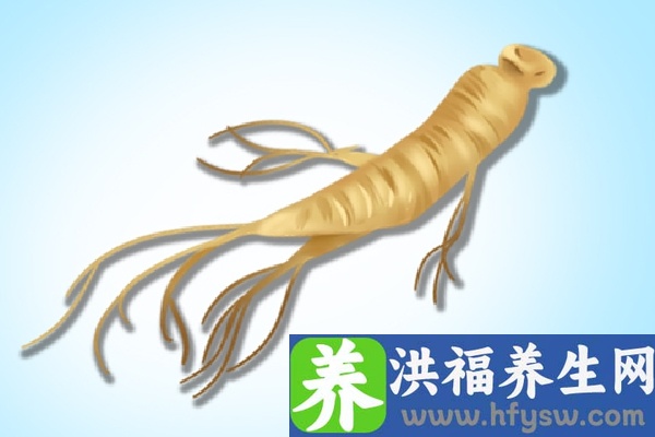 人参的功效与作用、禁忌和食用方法