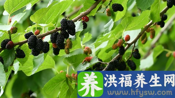 盘点7种食物引发女性不孕 多吃大蒜会杀死精子吗