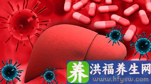 乙型肝炎病毒(HBV-DNA)定量