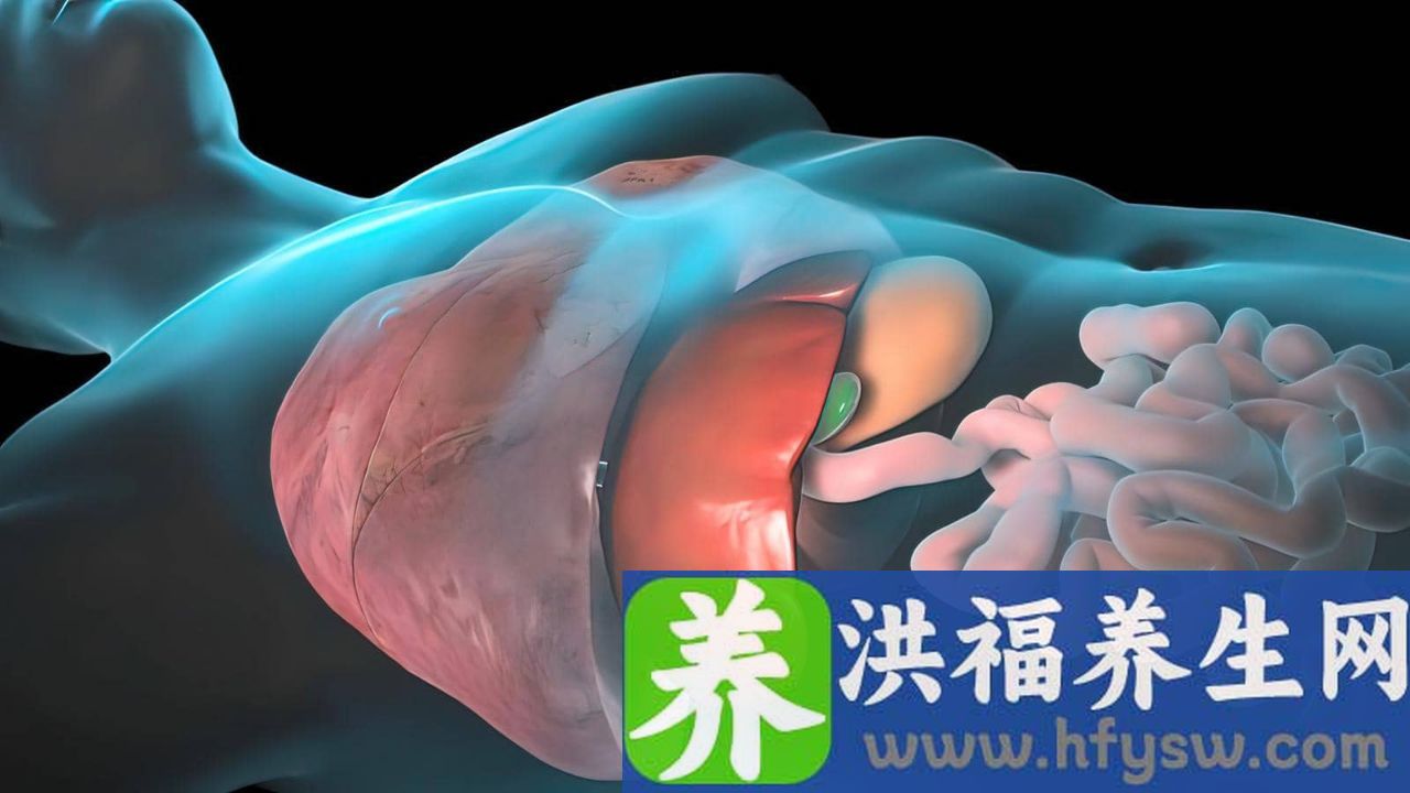 肝脏有毒素的4种症状 日常7措施保护肝脏