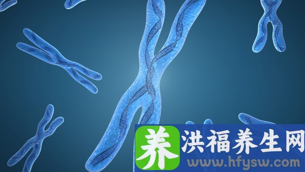 检查精子畸形率和染色体