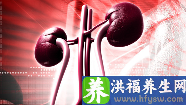 男人早泄如何调理？推荐5款壮阳补肾中药方