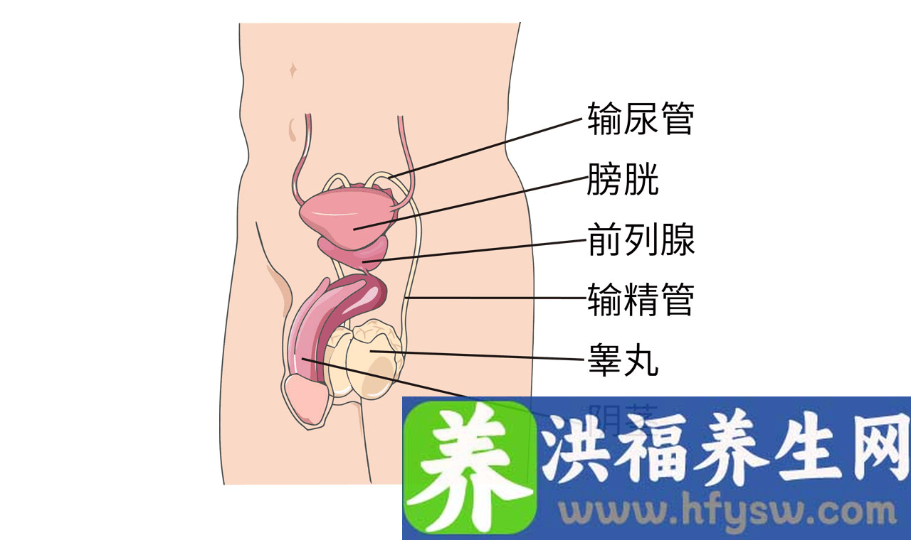 阴茎硬结症是什么病