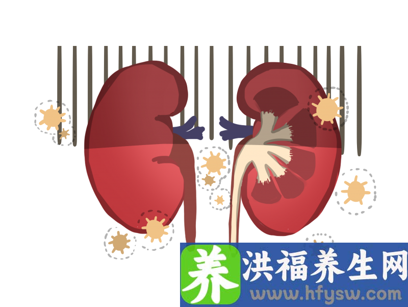 早上起来第一次排尿，肾好的人，尿液呈现哪2种颜色