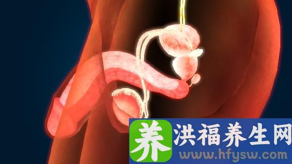 什么食物对治疗早泄比较好