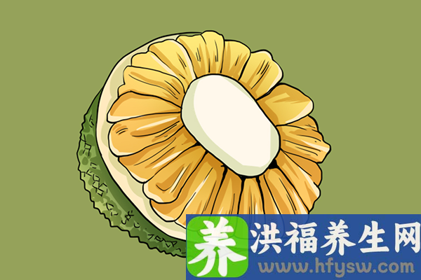 菠萝蜜的功效与作用、禁忌和食用方法