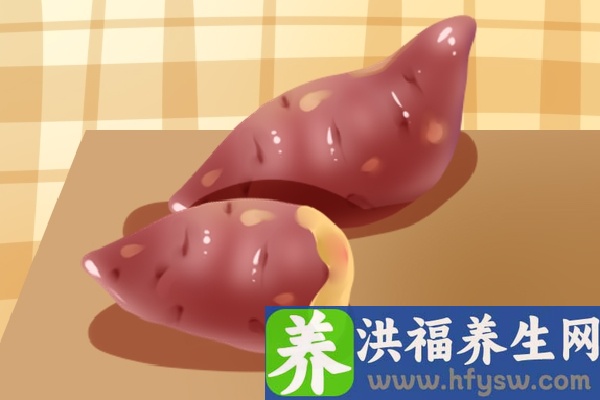 木薯的功效与作用、禁忌和食用方法