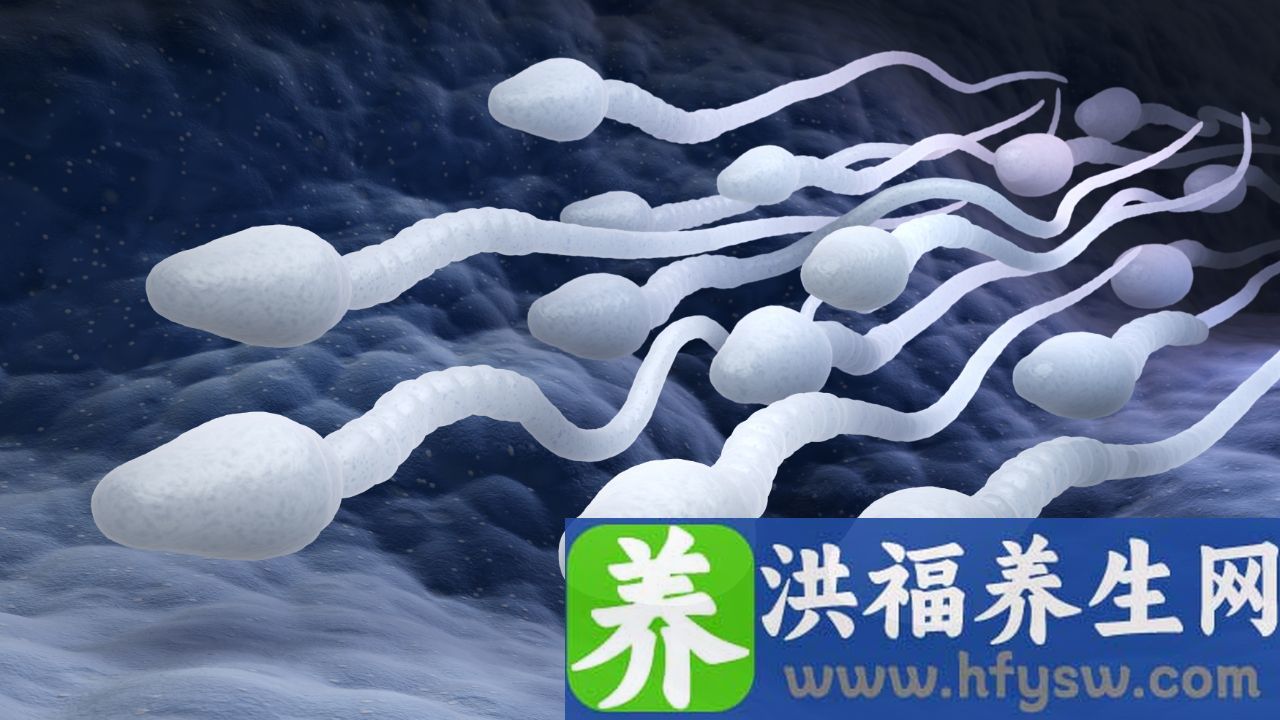 男子无精或少精是什么原因