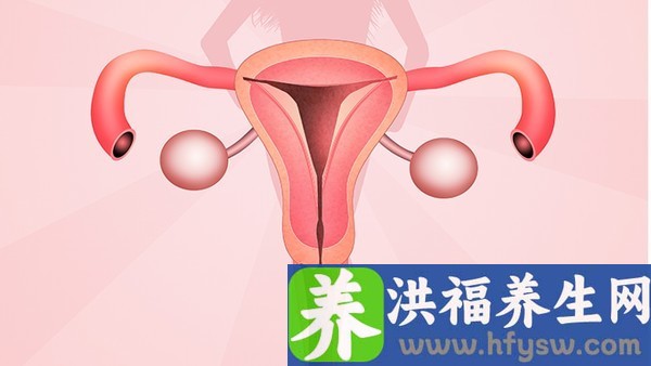 子宫畸形的种类有哪些