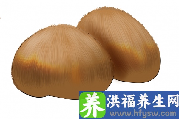 猴头菇的功效与作用、禁忌和食用方法
