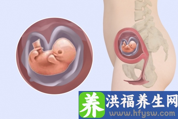 孕妇吃草莓有什么好处