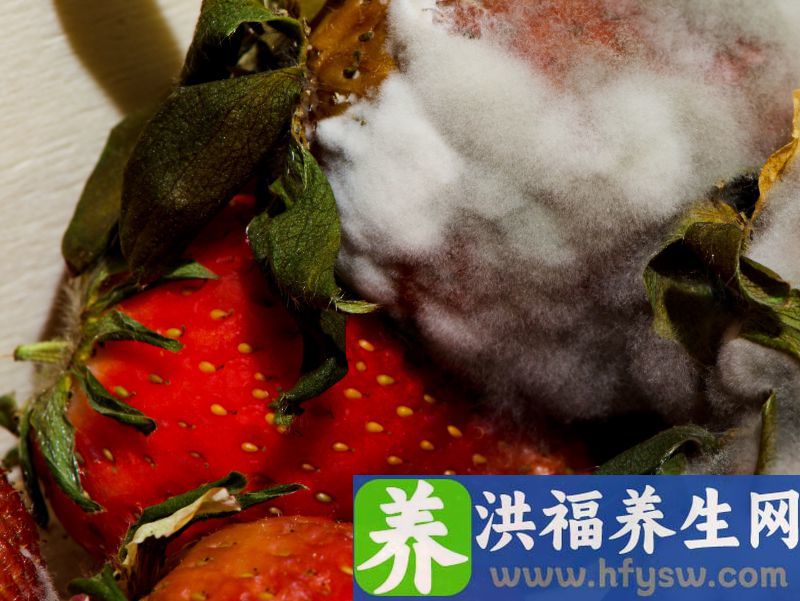 发霉的食物洗一洗，切除坏掉的部分，能继续吃吗？