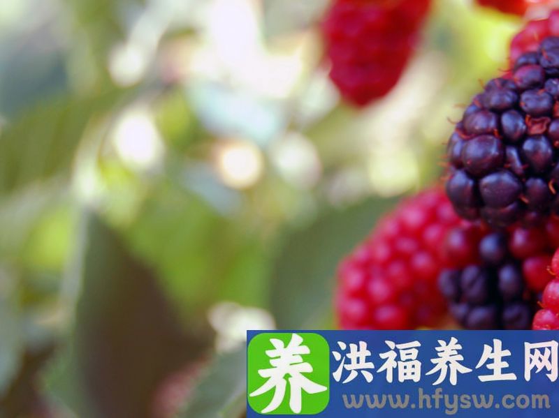 胃不好的朋友注意了，这10种水果是胃的益友！多吃些，胃更健康