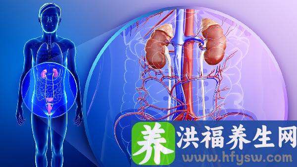 男性泌尿系统感染的症状表现